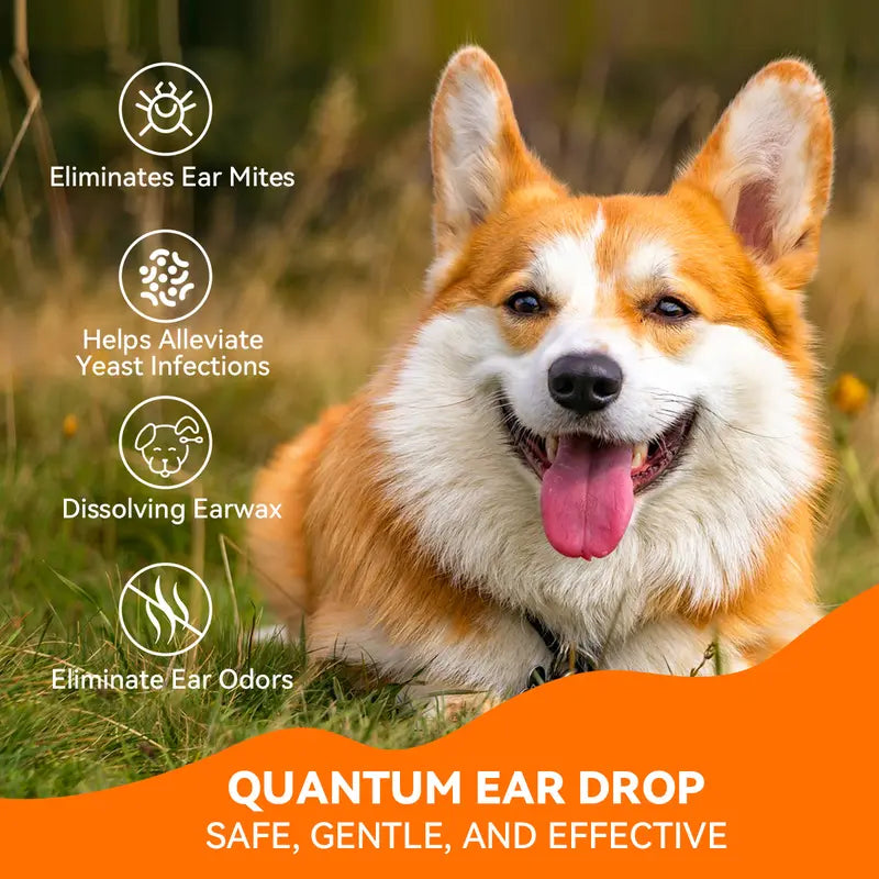 🔥🔥🔥Ear Cleaner 30ml Dog Ear Infection Treatment, Quantum Silver Ear Drops for Dogs Ear Infection Ear Mites Treatment for Cats Dogs Itchy Ear #outdoorfun #Summervibes #petlovers-JKL